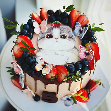 Торт "Котенок" купить - северск.сладкоежкин.рф